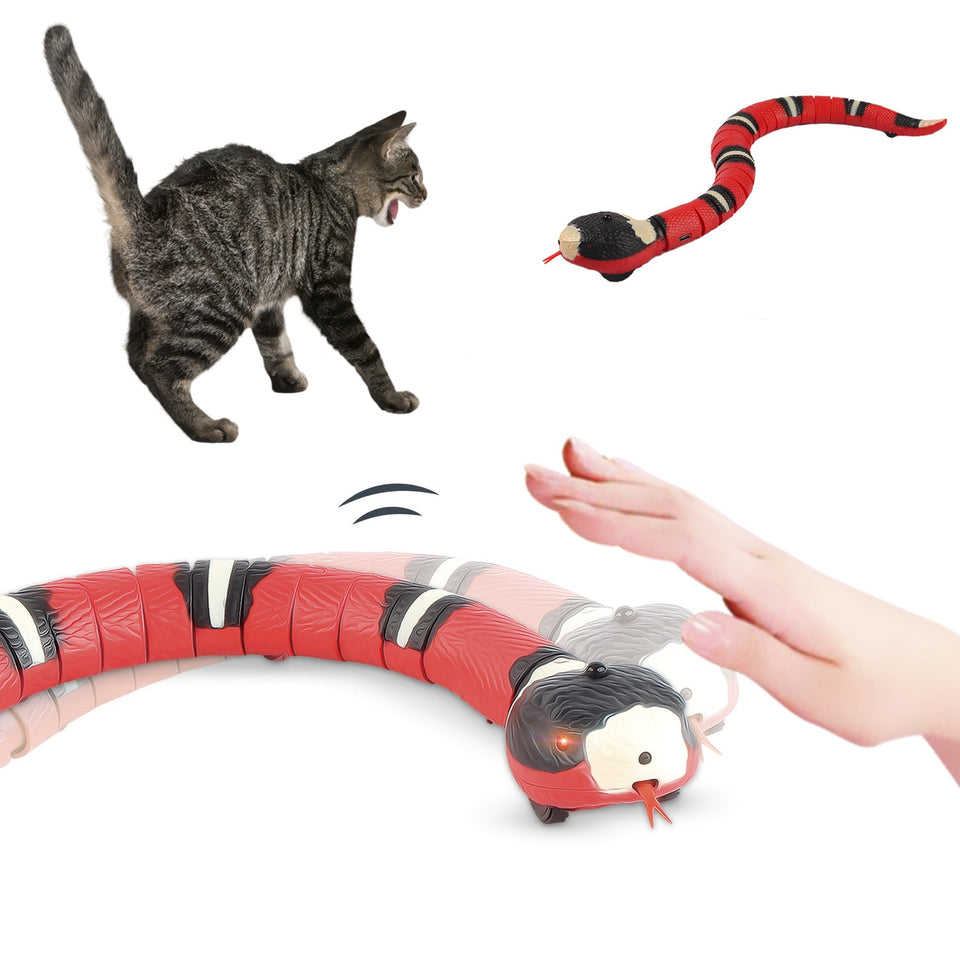 Cobra Inteligente USB - Brinquedo Pets